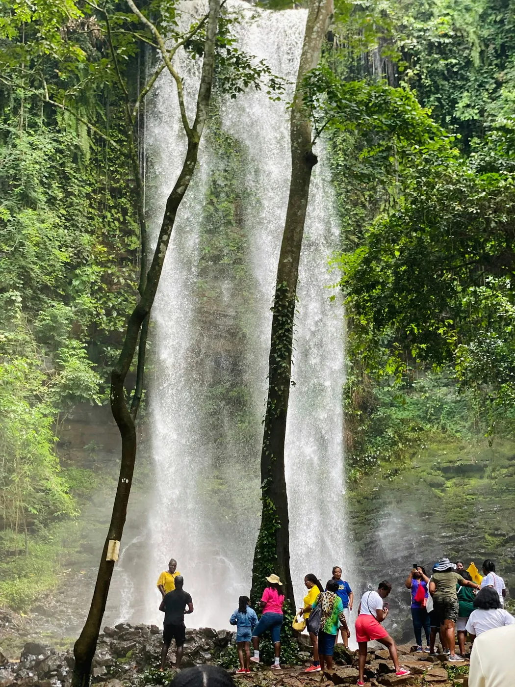 Wli Waterfalls