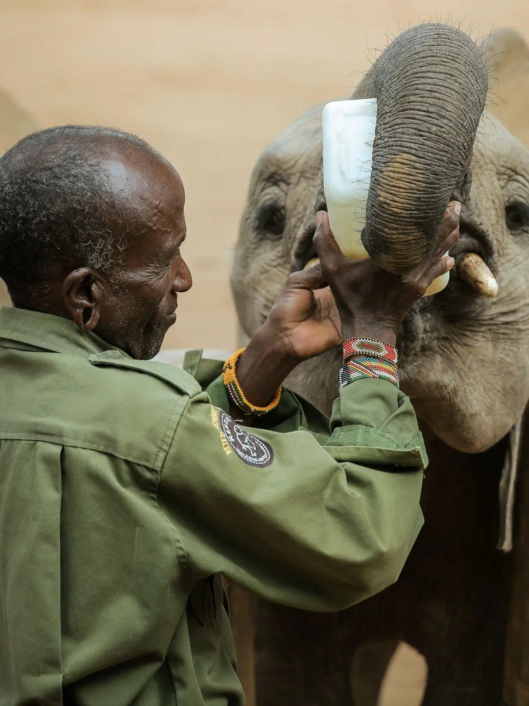 Elephant Conservation
