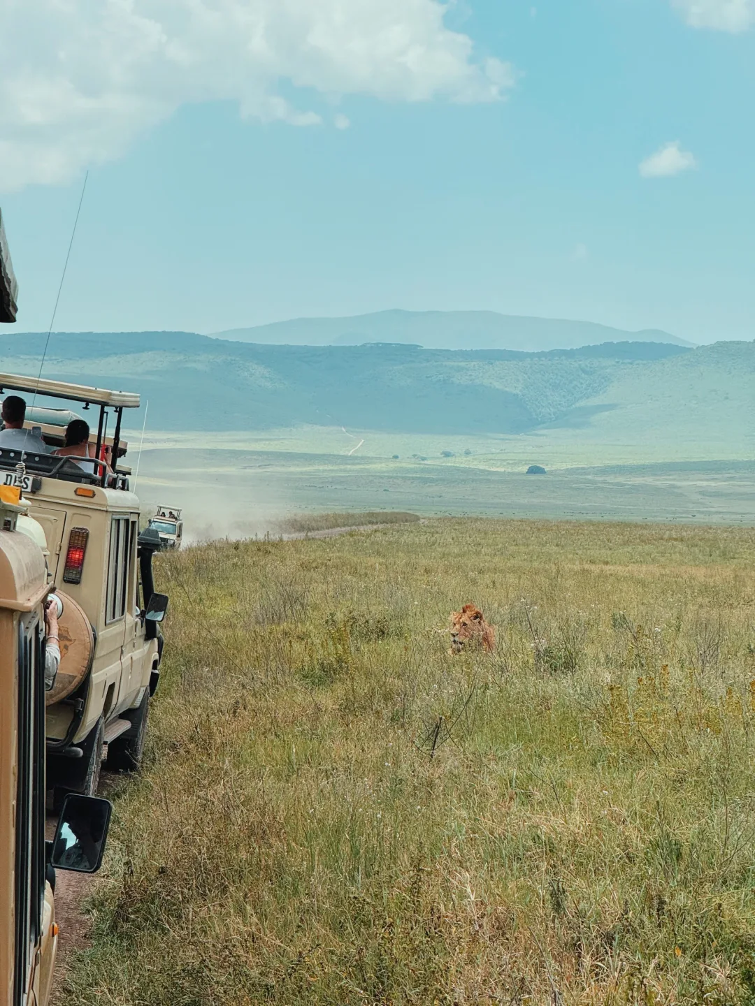 Game Drives