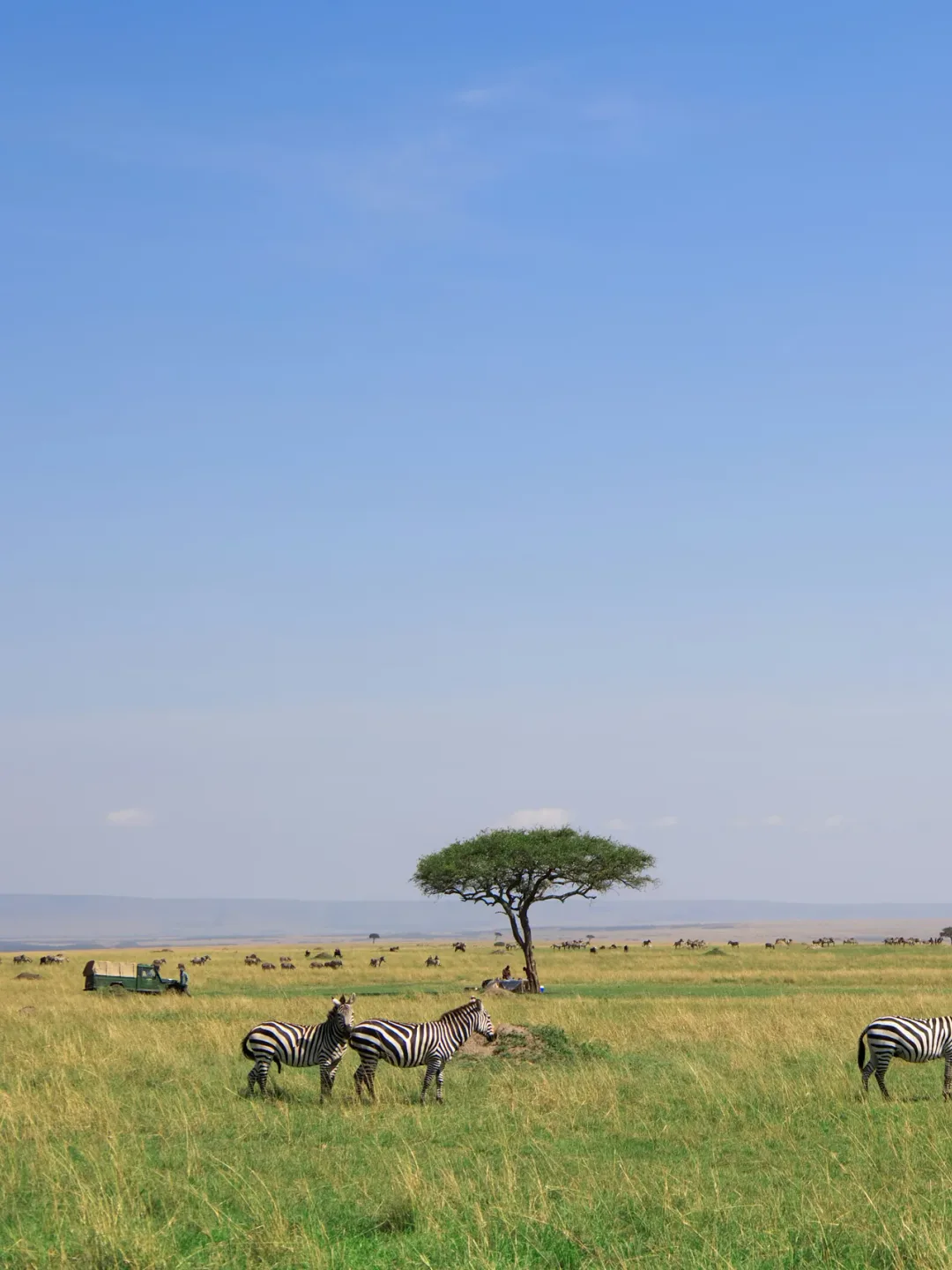 Maasai Mara National Reserve