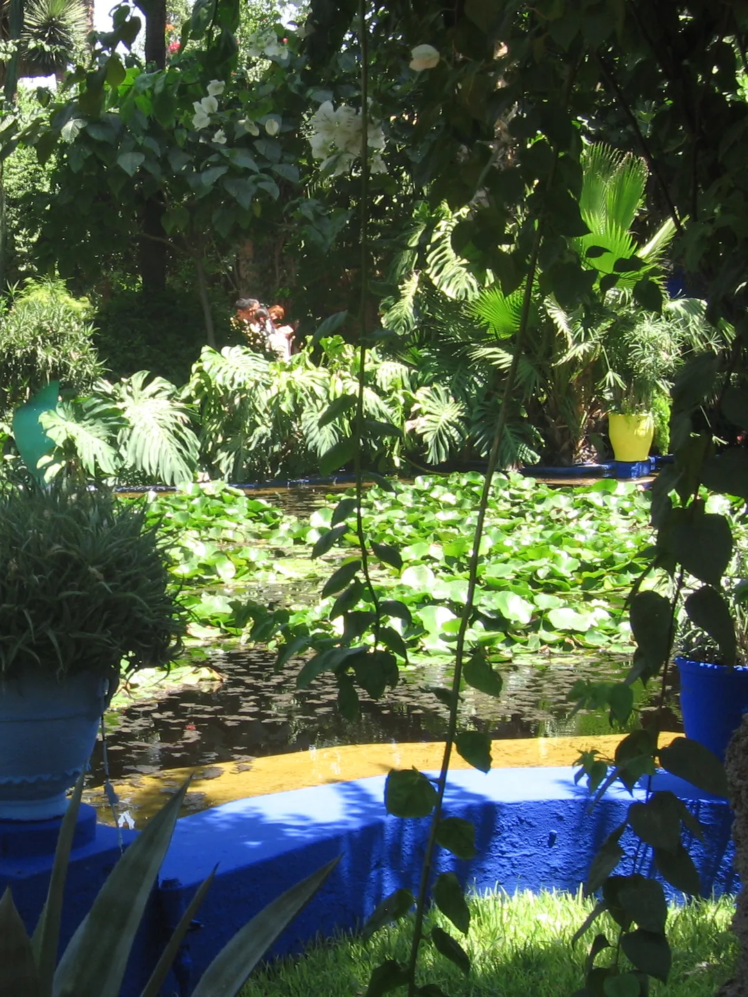 Jardin Majorelle