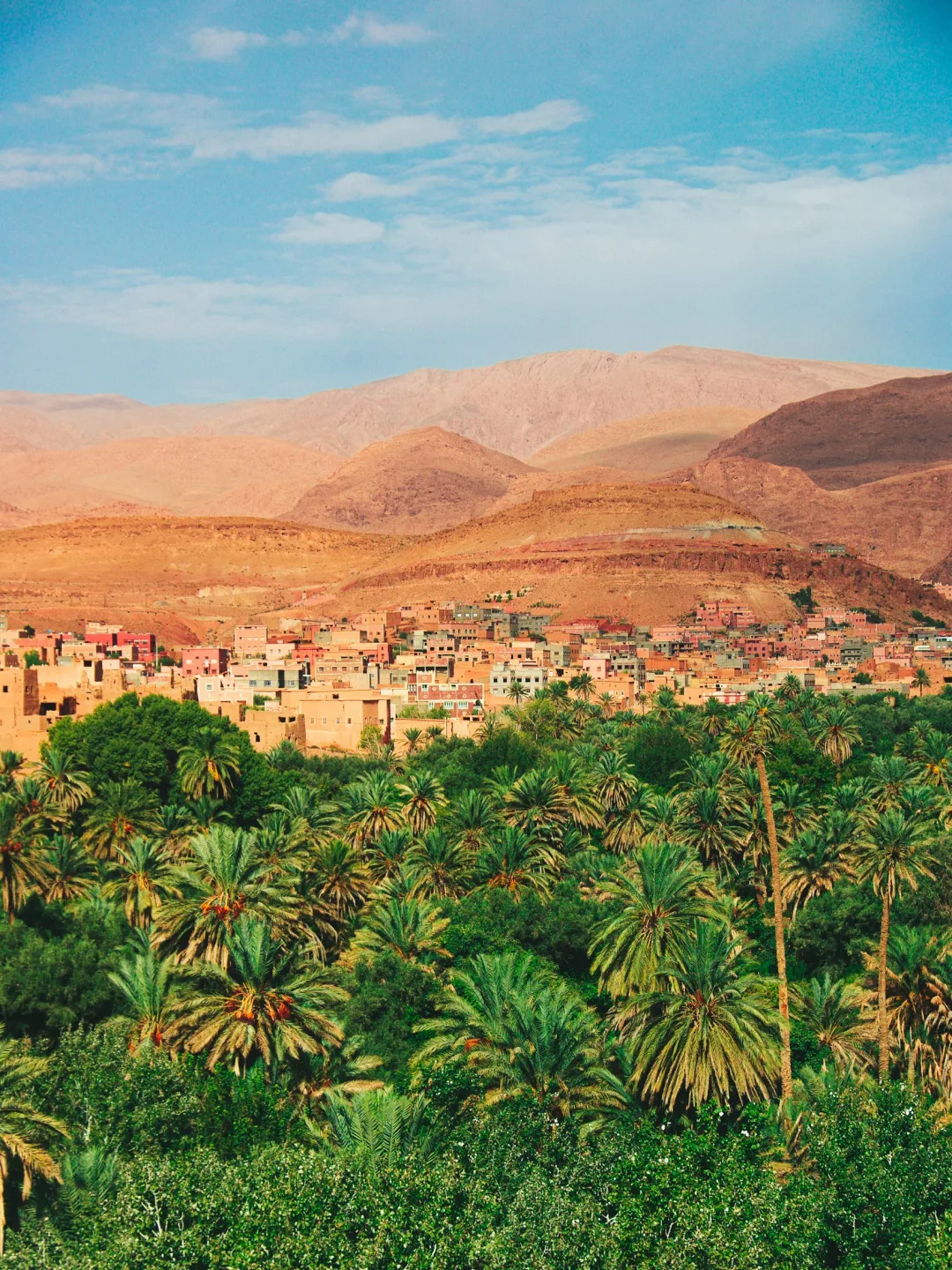 Palm Valleys