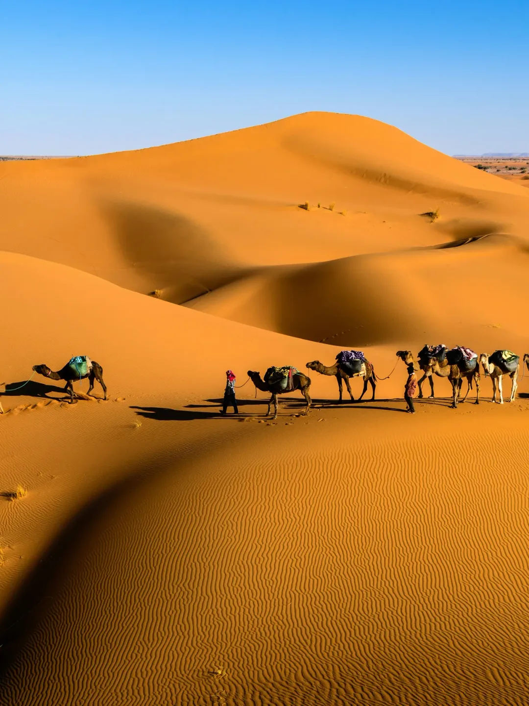 Erg Chebbi & the Sahara