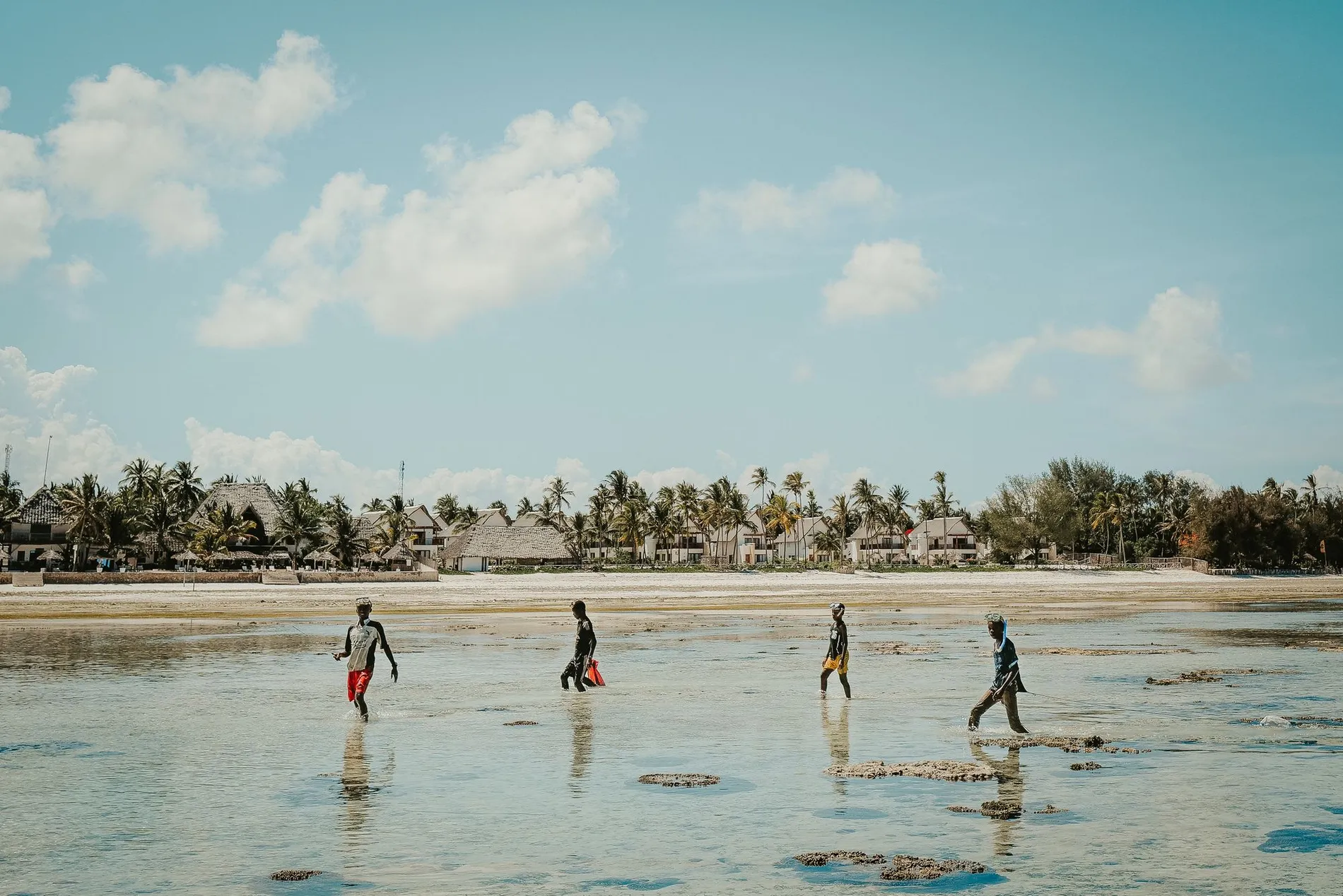 Travelers walking along a tropical shoreline