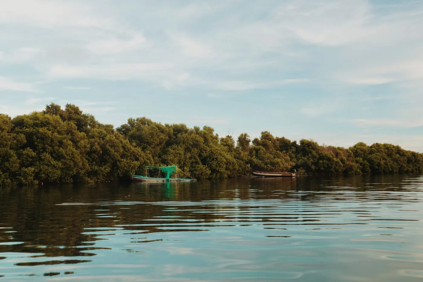 Sine-Saloum Delta