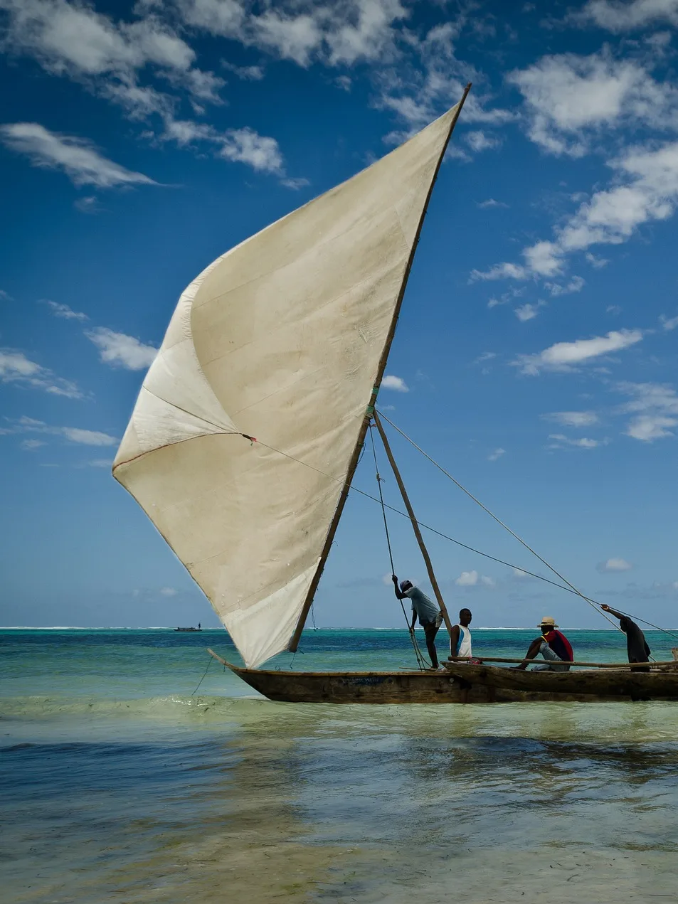 Dhow Sailing