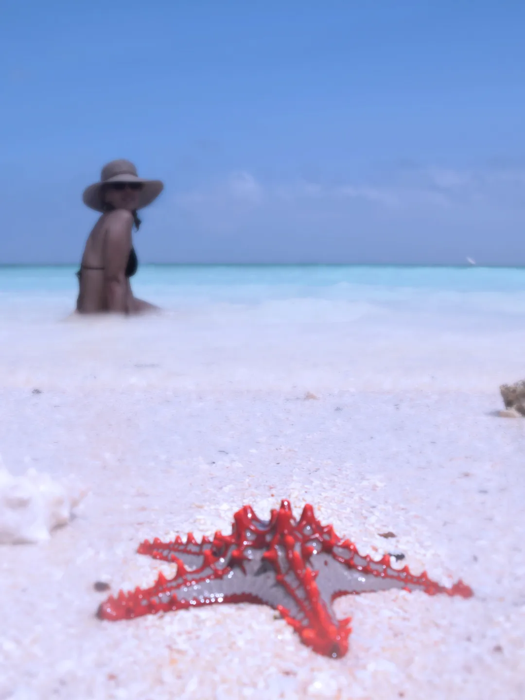 Kendwa & Nungwi Beaches