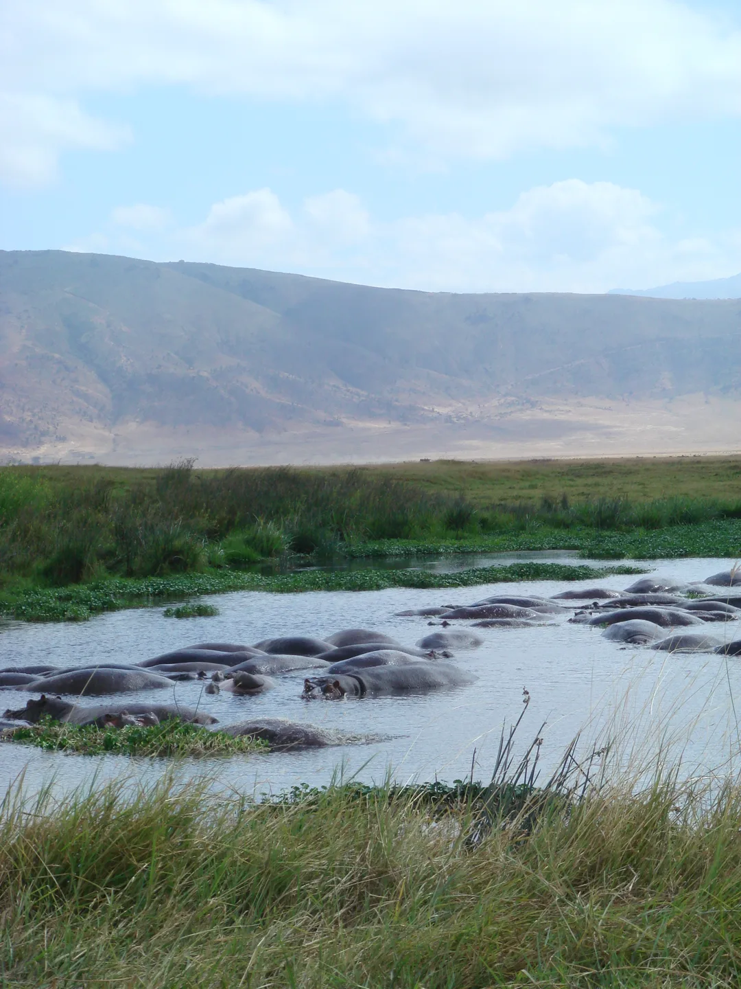 Ngorongoro Crater