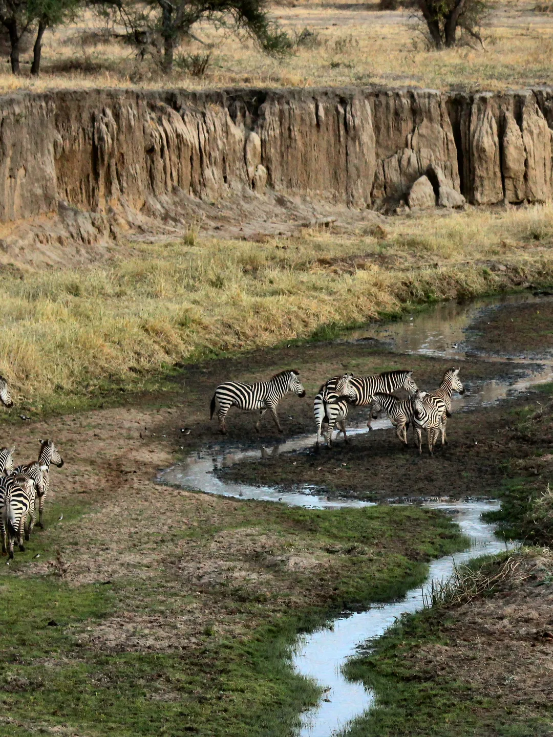 Tarangire National Park